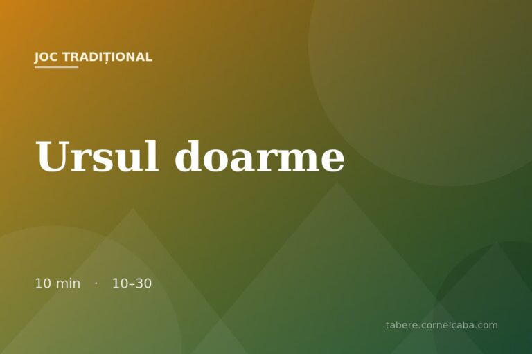 Ilustrație pentru jocul Ursul doarme