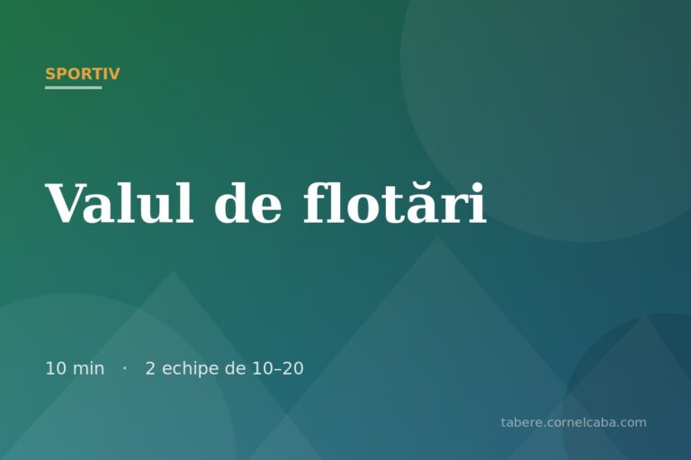 Ilustrație pentru jocul Valul de flotări