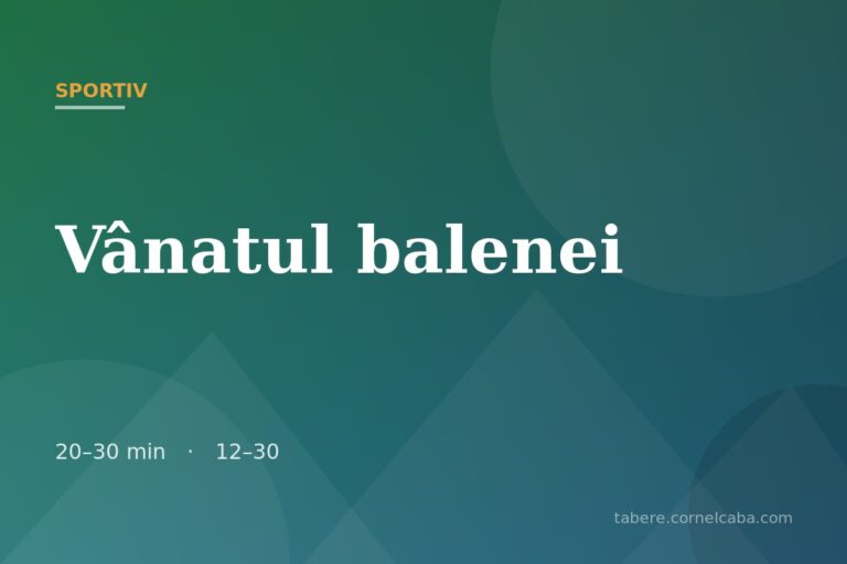 Ilustrație pentru jocul Vânatul balenei