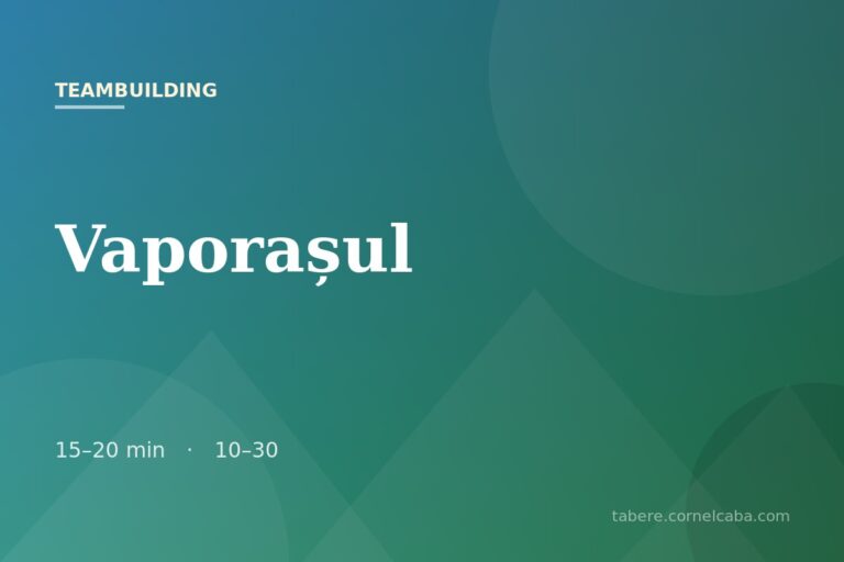Ilustrație pentru jocul Vaporașul