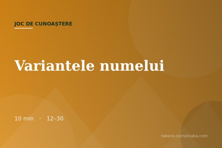 Ilustrație pentru jocul Variantele numelui