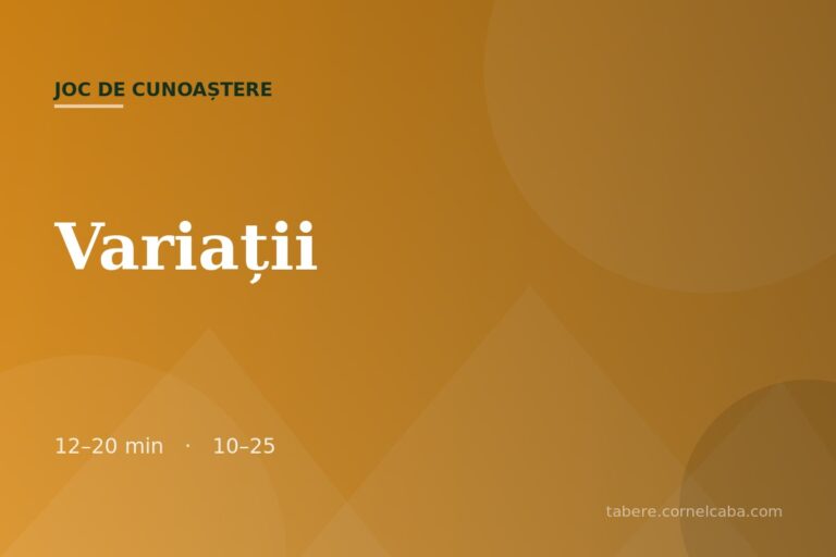 Ilustrație pentru jocul Variații
