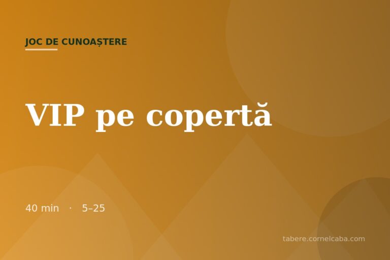 Ilustrație pentru jocul VIP pe copertă