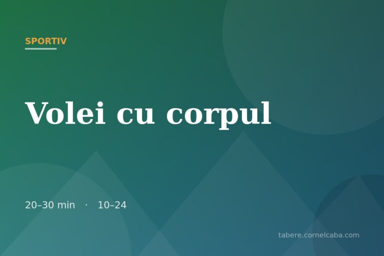 Ilustrație pentru jocul Volei cu corpul