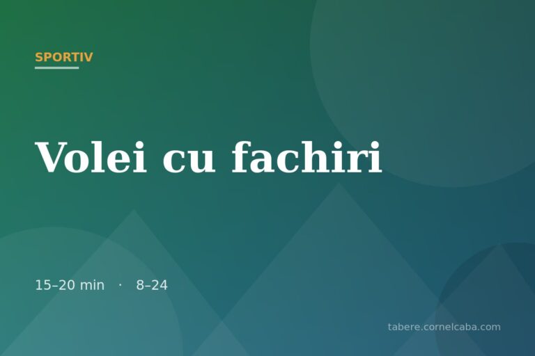 Ilustrație pentru jocul Volei cu fachiri