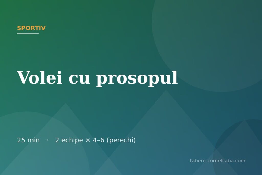 Ilustrație pentru jocul Volei cu prosopul