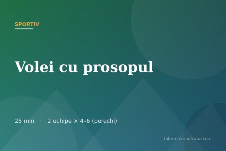 Ilustrație pentru jocul Volei cu prosopul