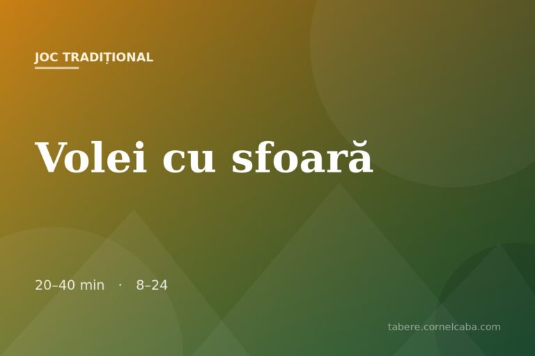Ilustrație pentru jocul Volei cu sfoară