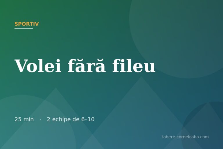Ilustrație pentru jocul Volei fără fileu