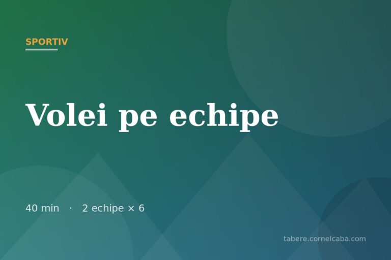 Ilustrație pentru jocul Volei pe echipe