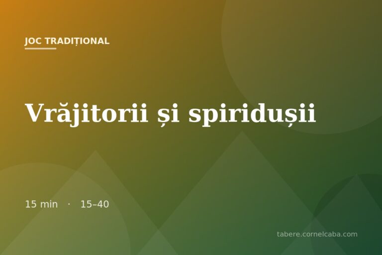 Ilustrație pentru jocul Vrăjitorii și spiridușii
