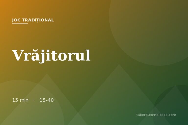 Ilustrație pentru jocul Vrăjitorul