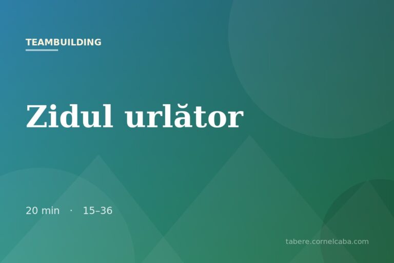 Ilustrație pentru jocul Zidul urlător