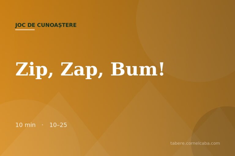 Ilustrație pentru jocul Zip, Zap, Bum!